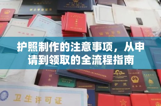 广河护照制作的注意事项，从申请到领取的全流程指南