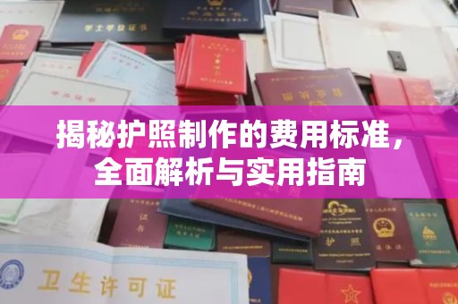 广河揭秘护照制作的费用标准，全面解析与实用指南