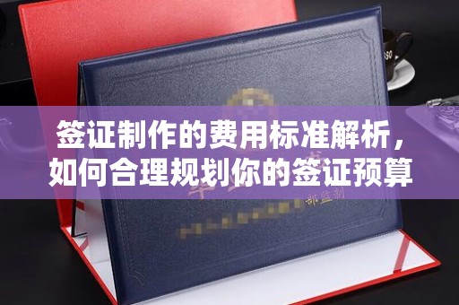 广河签证制作的费用标准解析，如何合理规划你的签证预算