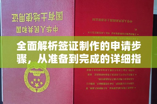 广河全面解析签证制作的申请步骤，从准备到完成的详细指南