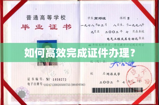 广河如何高效完成证件办理？