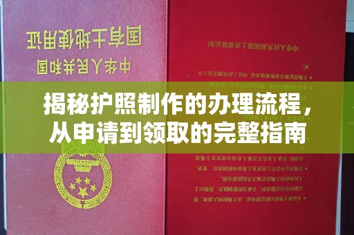 广河揭秘护照制作的办理流程，从申请到领取的完整指南
