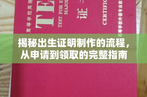 广河揭秘出生证明制作的流程，从申请到领取的完整指南