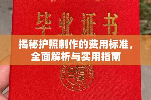 广河揭秘护照制作的费用标准，全面解析与实用指南